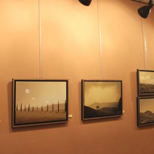 Natura:Luci e Ombre a Modena.