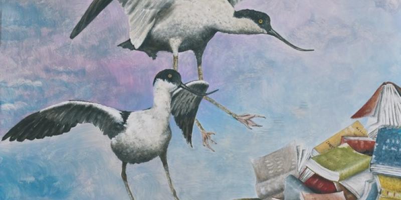 Bruno Ferrari, Realtà e sogno