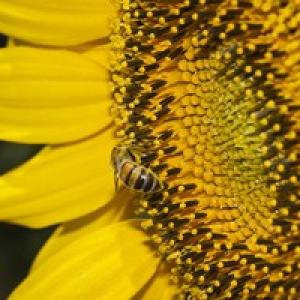 MACRO&STILL LIFE MACRO&STILL LIFE