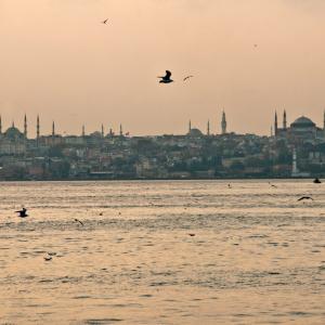 Turchia. Istanbul. Caos e collasso 2/2