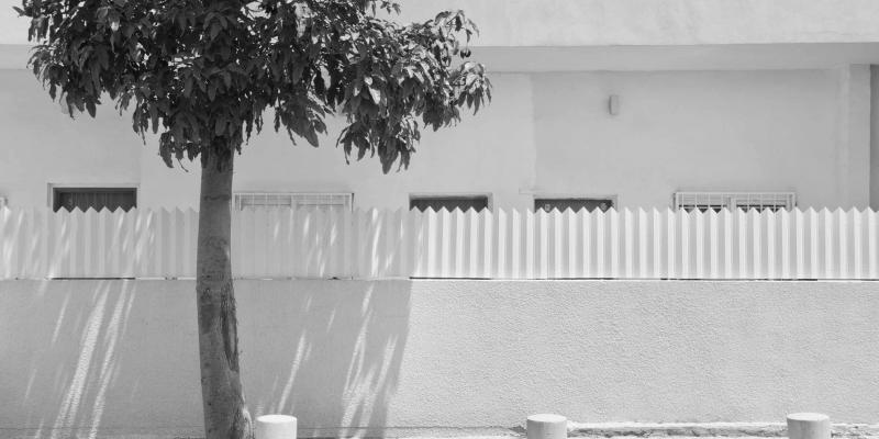 Orith Youdovich. How Should I Live. Visual Dialogues with Michelangelo Antonioni's Cinematographic Art