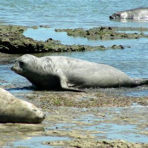 Argentina. Patagonia