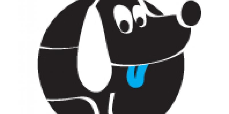 Torino Flash Festival Torino Flash Festival