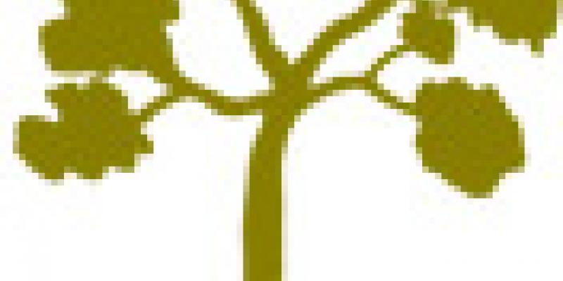 Premio Merlino (I edizione)