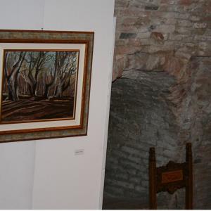 ww.associazioneolimpiamorata.jimdo.com .