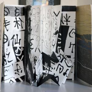 L'IMPRONTA E IL SEGNO A PALAZZO DUCALE DI REVERE (MN)