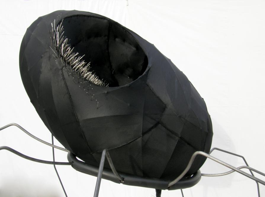 Vedovanera (particolare) Vedovanera (particolare)