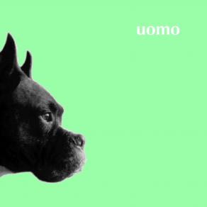 uomo