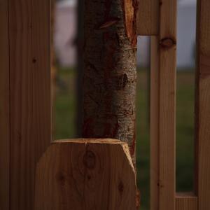 Meitheal Adhmaid | Woodcollective