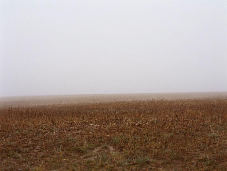 Untitled #3 Untitled #3