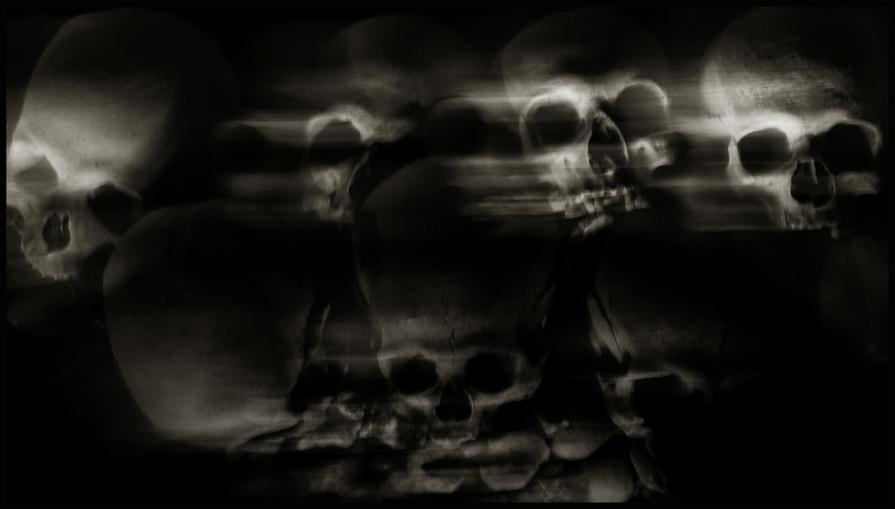Skulls (Skull, Teschi, Teschio) - fotografia di Augusto De Luca. 12