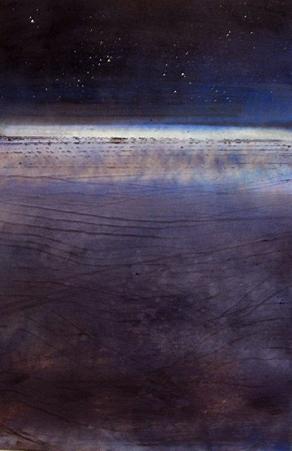 La tigre bianca dell'Ovest.