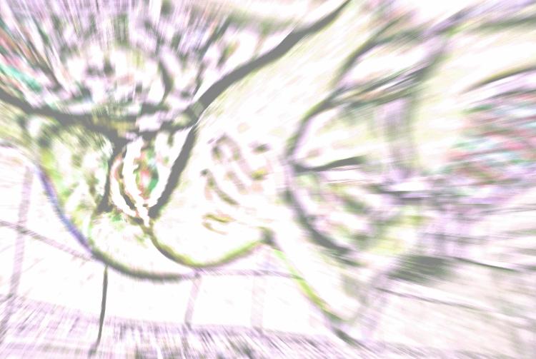 dira-danza dira-danza