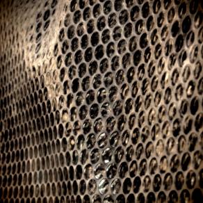 Cellular organization 