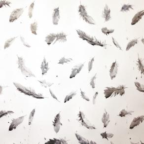 Fourty-Five Feathers (QuarantaCinque Piume)