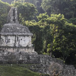 Palenque 45