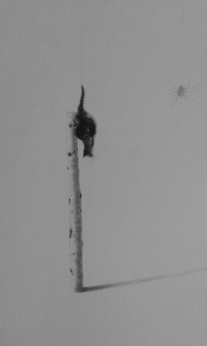 Z 58 - Tecnica mista su carta 2015