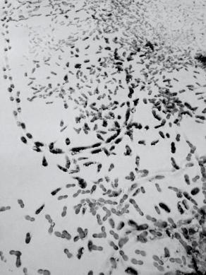 Le tracce del presente