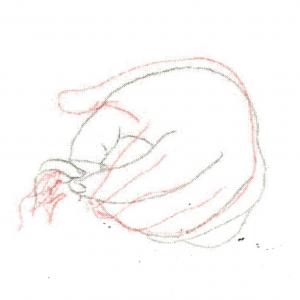 Before and After Before and After