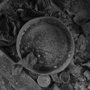 Senza titolo dalla serie 