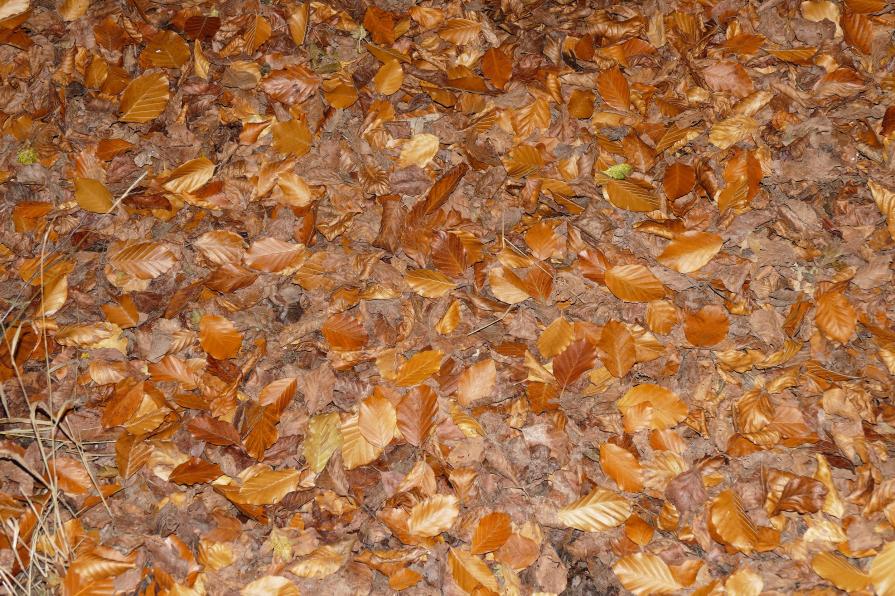 At the end of the Rainbow