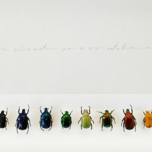 Fattori colorimetrici per un corpo autoluminoso Fattori colorimetrici per un corpo autoluminoso