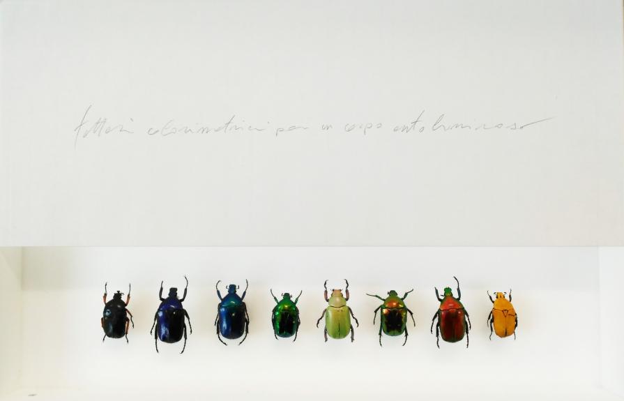 Fattori colorimetrici per un corpo autoluminoso