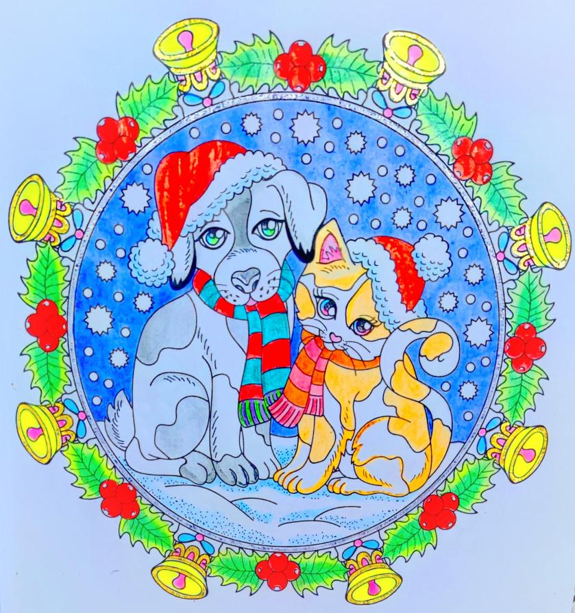 …Nel cuore dell’inverno…!!!❄️❄️❄️