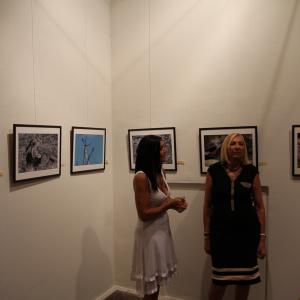 ANIMALS ART A PALAZZO DUCALE