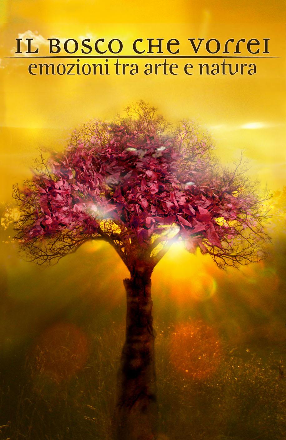 "Il Bosco che vorrei"
