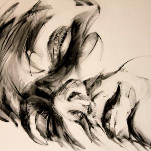 L'IMMAGINE SENZA TEMPO alla Meridiana (MO)