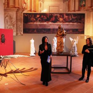 LA MATERIA E LA CREAZIONE