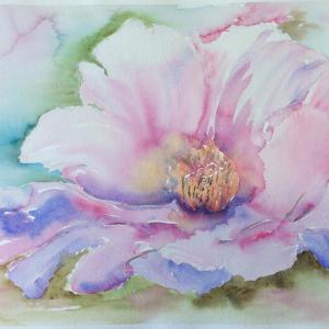 Il sorriso di Roberta per l'UNICEF - Progetto "100% Vacciniamoli tutti" Il sorriso di Roberta per l'UNICEF - Progetto "100% Vacciniamoli tutti"