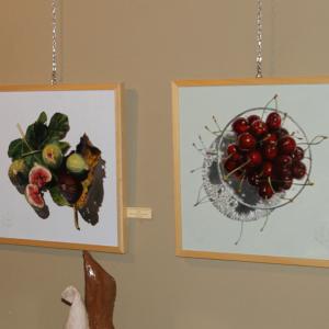 Natura:Luci e Ombre a Modena.