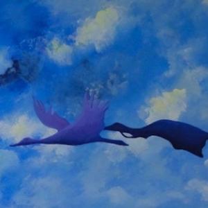 LUCI, COLORI ED EMOZIONI