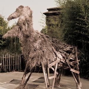 ZOOMaginario: un contest "bestiale"