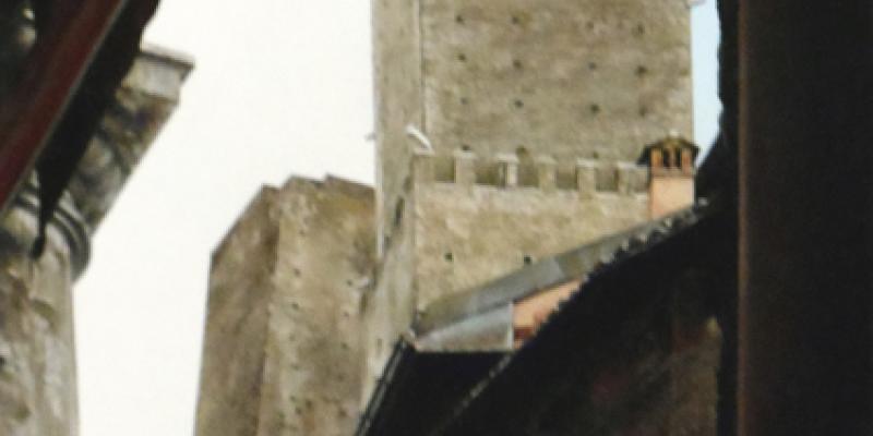 FELSINEA. Bologna's view FELSINEA. Bologna's view