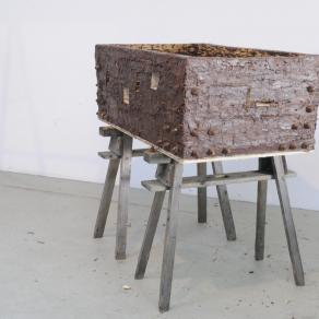 the Ark of the Covenant