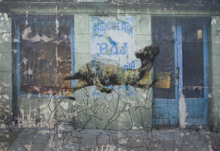 Ignarus. Sócrates, inocente!