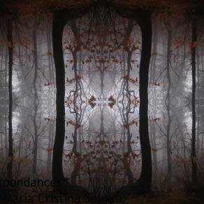  "La finestra di Settentrione" dalla serie Correspondances  2008