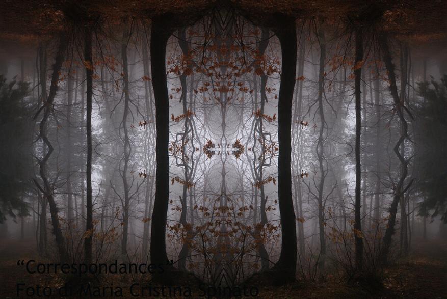  "La finestra di Settentrione" dalla serie Correspondances  2008