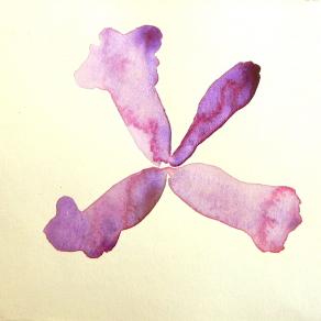 Levitas Originae particolare