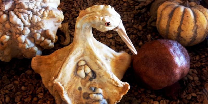 V O L A T I L I V O L A T I L I