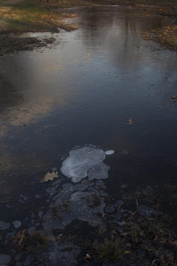 ALong Silent Paths ALong Silent Paths