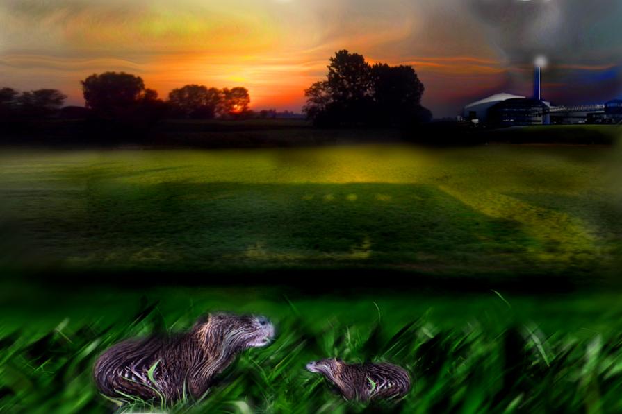 A2A grazie arrivando da parma,ho visto le pantegane modificate. stop al inquinamento della mia citta' Brescia.