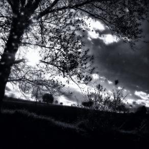 Quando cerco di ricordare chi ero stato, mi confondo 