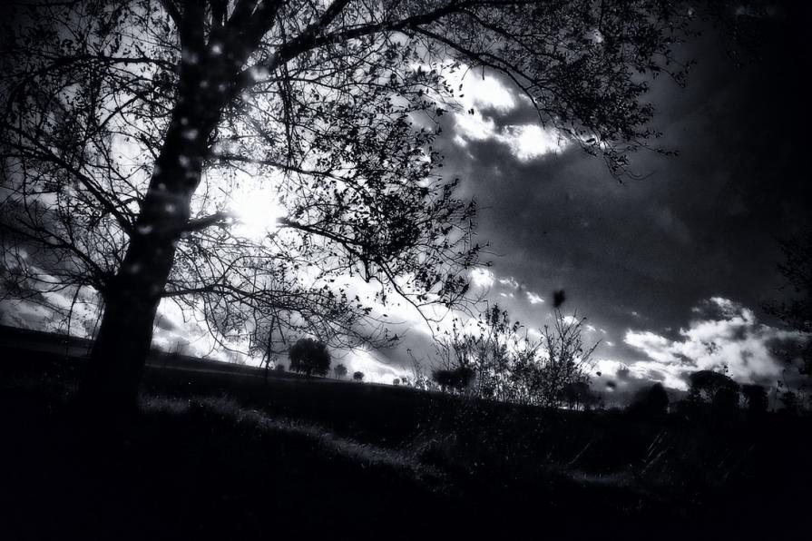 Quando cerco di ricordare chi ero stato, mi confondo 