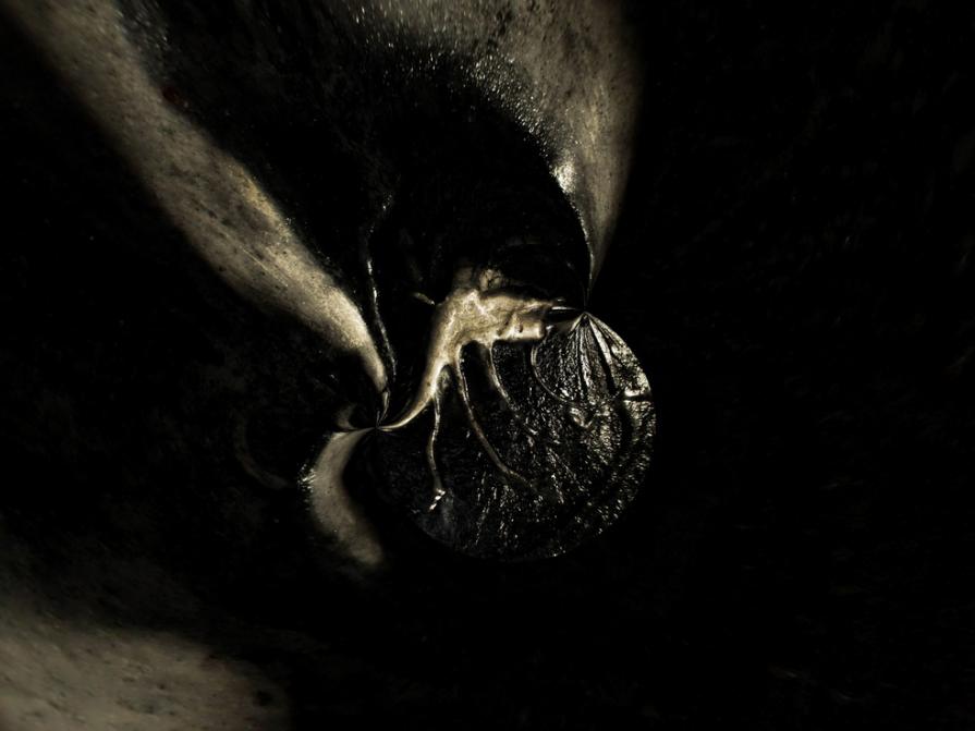 EUU 22 (Esperienza Ultra Umana)