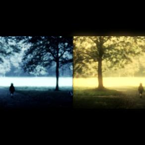 What the Chesnut Tree saw