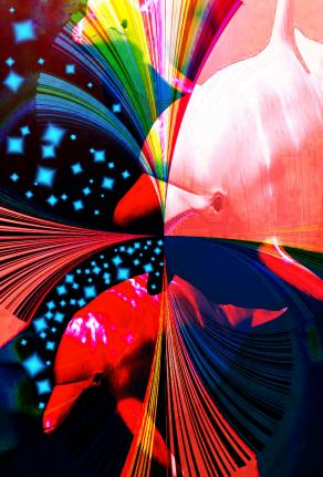 IL VERO AMORE PUÒ NASCONDERSI CONFONDERSI MA NON PUÒ PERDERSI MAI...!!!